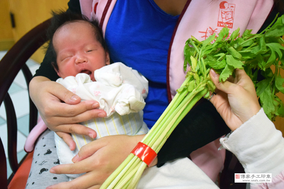 葉寶寶(台中東區到府嬰兒寶寶滿月剃頭理髮、免費到府嬰兒剃胎毛儀式吉祥話)。到府剃頭剃胎毛主持、專業拍照、DVD光碟、證書。★購買「臍帶章、肚臍章、胎毛筆刷印章」贈送：剃頭、收涎、抓周，三選一。2015.09.04 照片6